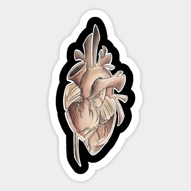 anatomical heart Sticker by elywick